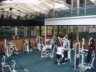 strength3.jpg (22164 bytes)